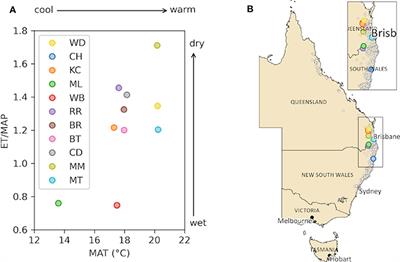 Elevated CO2 Did Not Stimulate Stem Growth in 11 Provenances of a Globally Important Hardwood Plantation Species